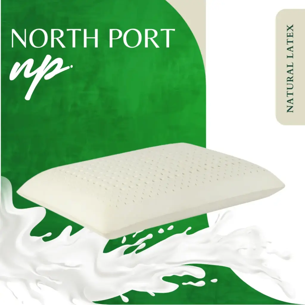 STANDARD  ELLIPTICAL SHAPE PILLOW E MONA ZONE